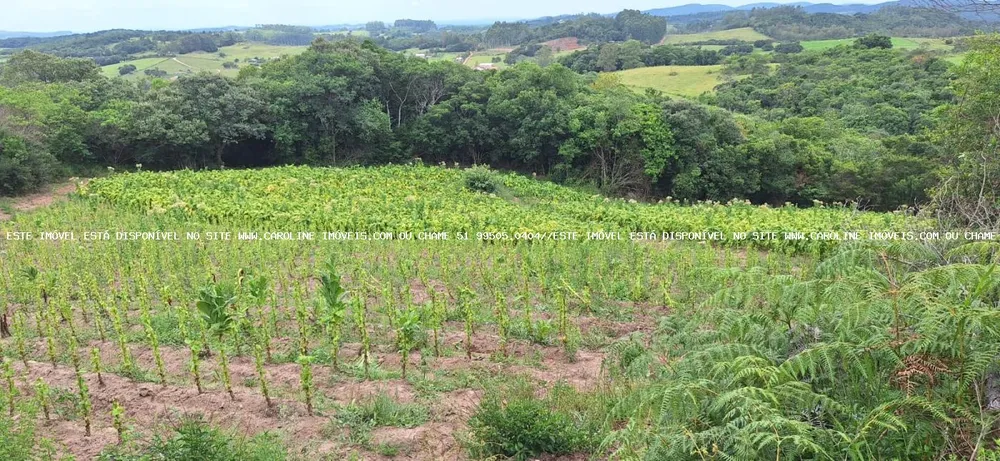 Loteamento e Condomínio, 13 hectares - Foto 5