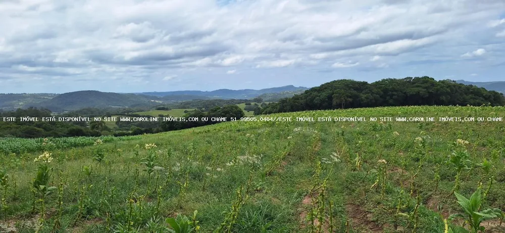 Loteamento e Condomínio, 13 hectares - Foto 2