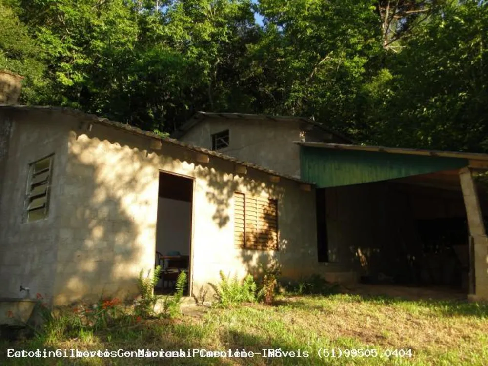Sítio, 3 hectares - Foto 4