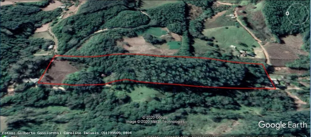 Sítio, 3 hectares - Foto 11