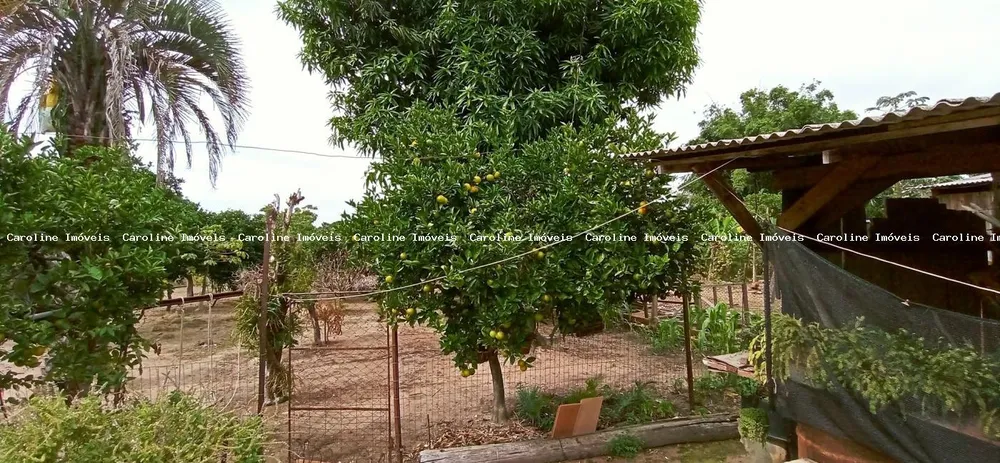 Terreno, 560 m² - Foto 6