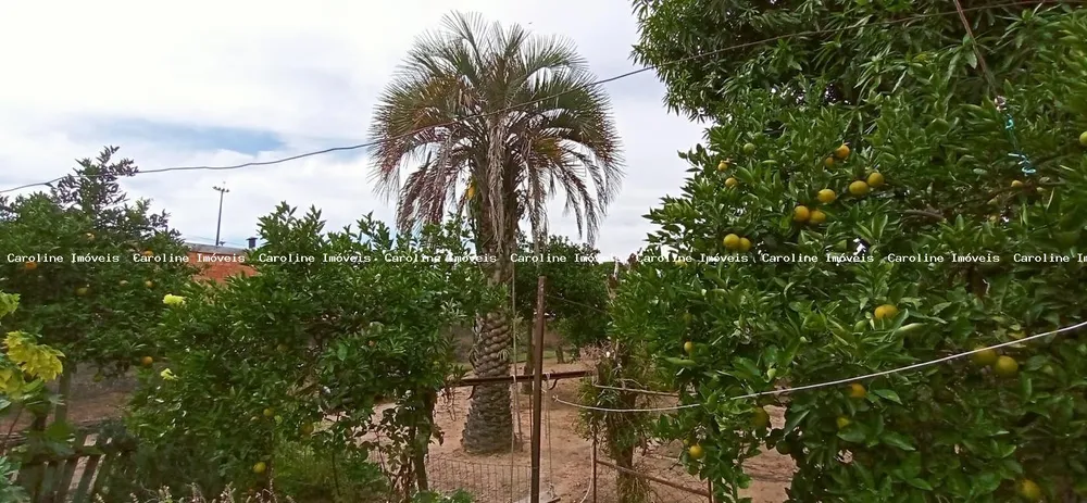 Terreno, 560 m² - Foto 7
