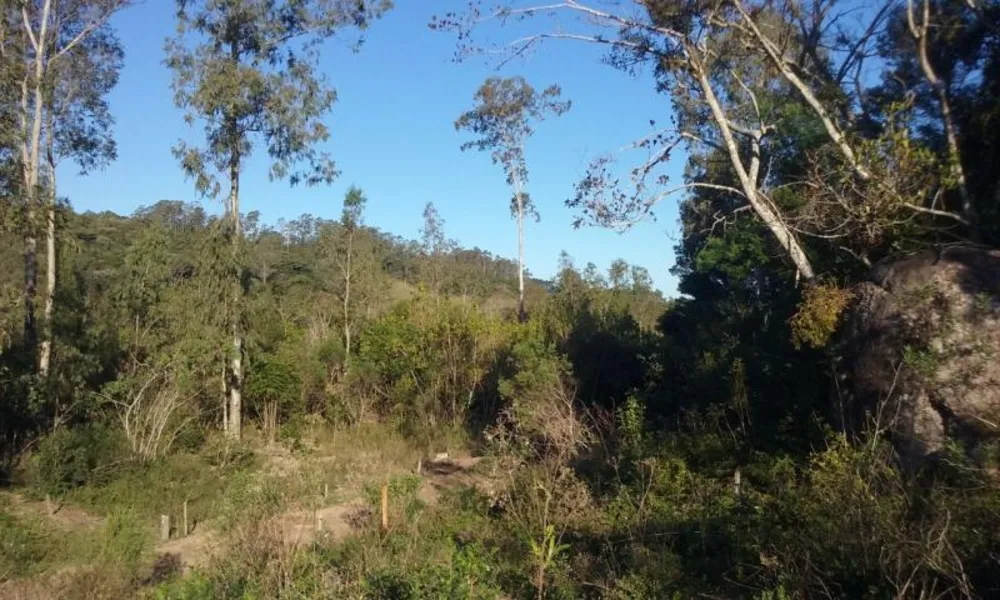 Loteamento e Condomínio, 11 hectares - Foto 4