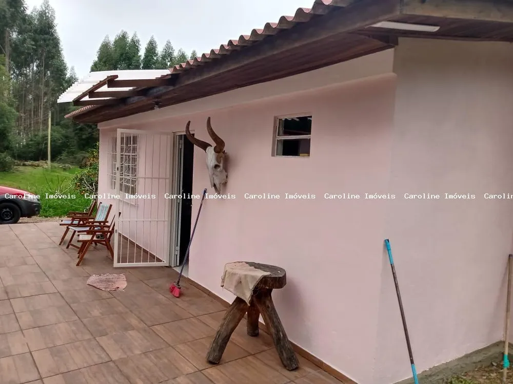 Fazenda, 42 hectares - Foto 7