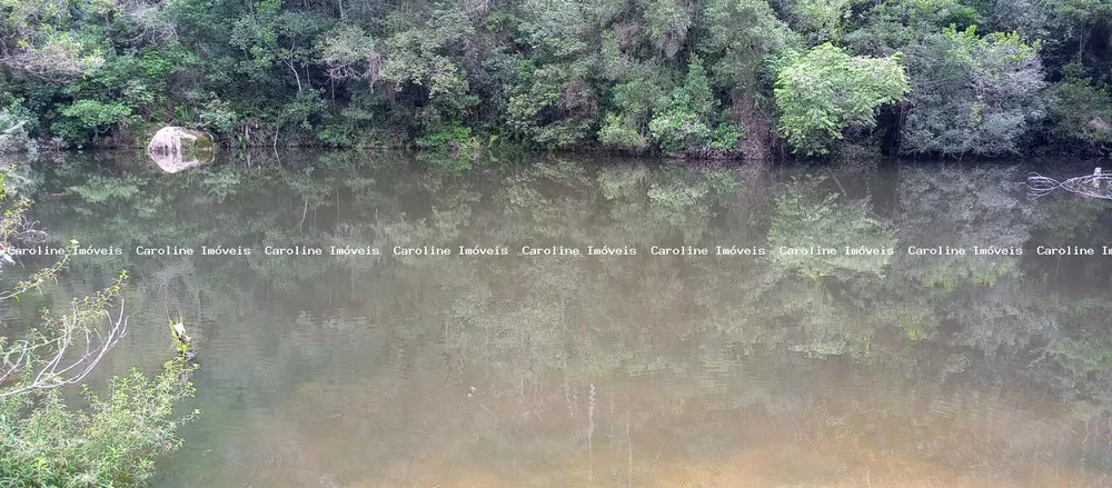 Fazenda, 42 hectares - Foto 9