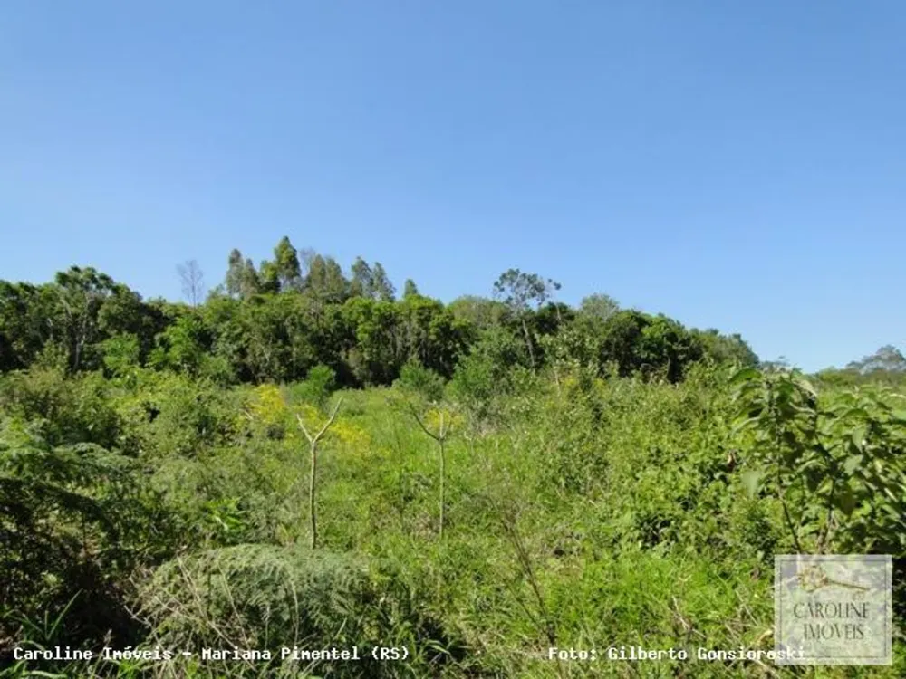 Loteamento e Condomínio, 32 hectares - Foto 7