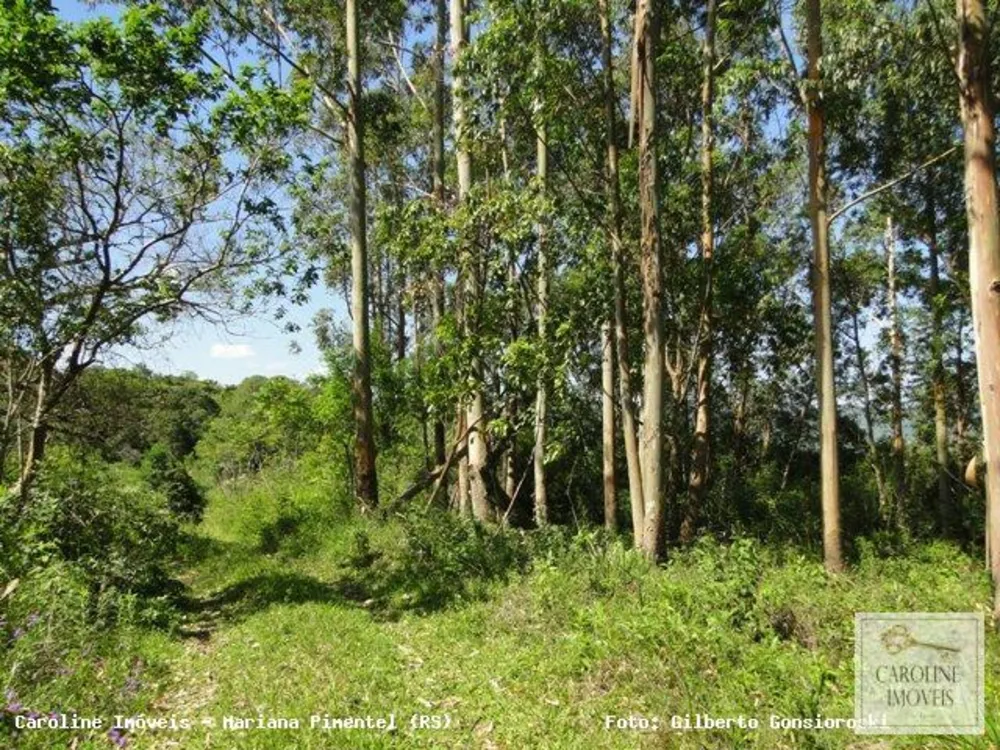Loteamento e Condomínio, 32 hectares - Foto 4