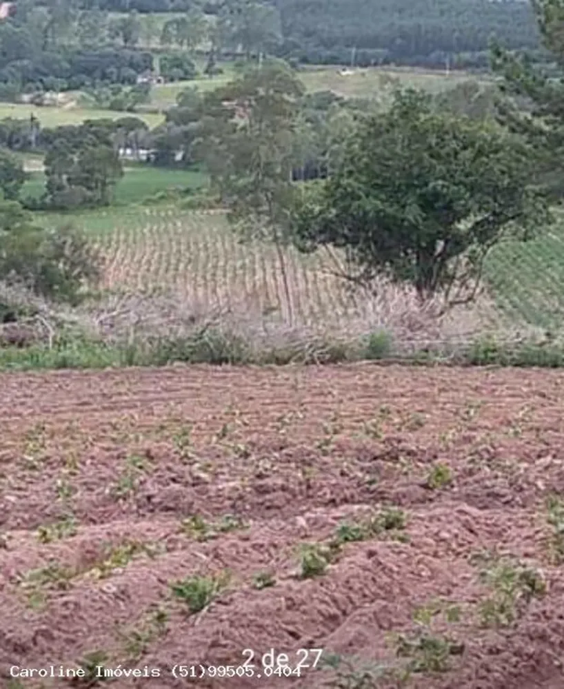 Sítio, 21 hectares - Foto 6