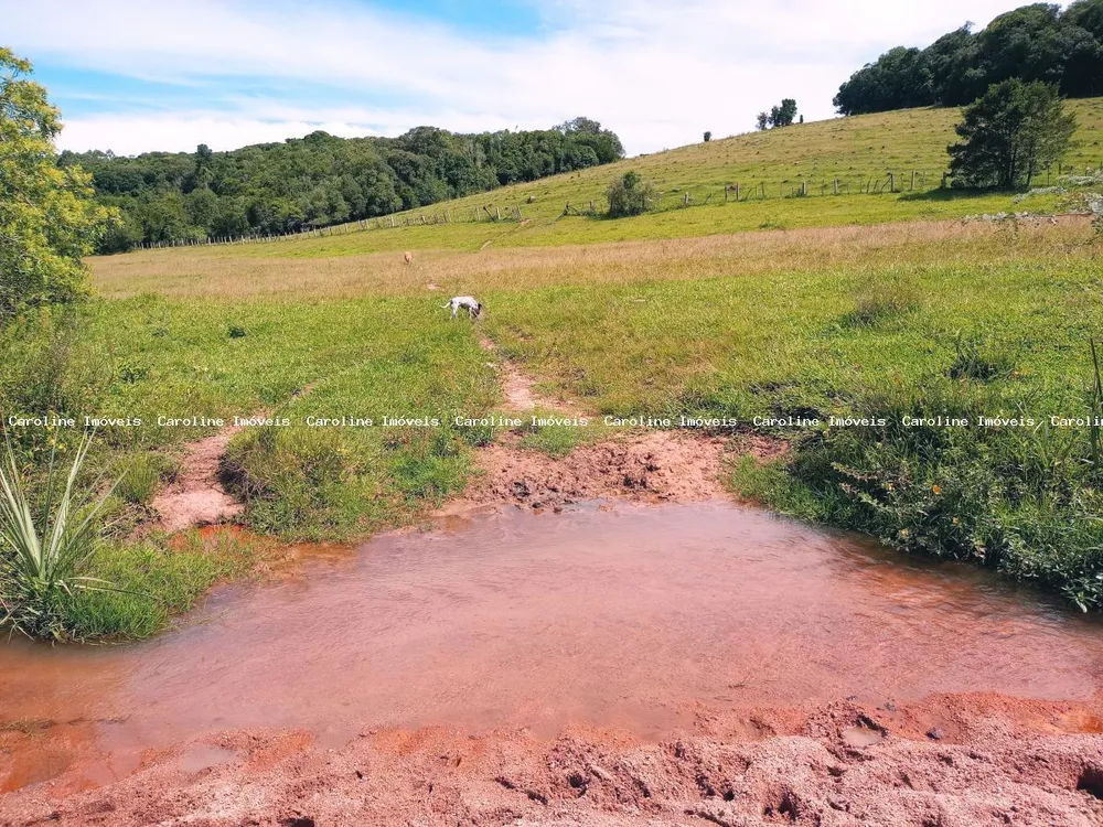 Fazenda, 63 hectares - Foto 6