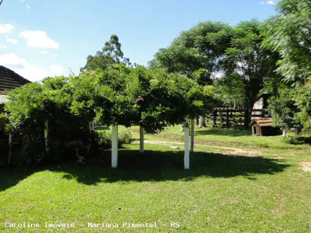 Fazenda, 63 hectares - Foto 4
