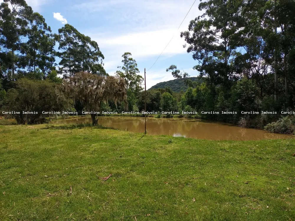 Fazenda, 63 hectares - Foto 8