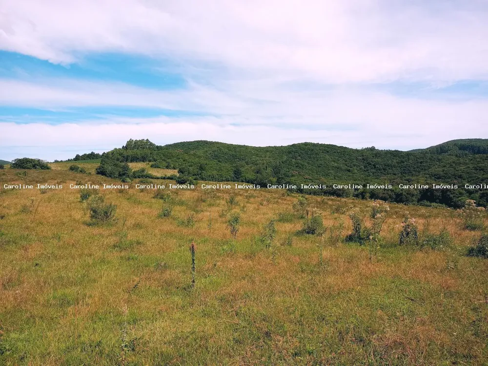Fazenda, 63 hectares - Foto 10