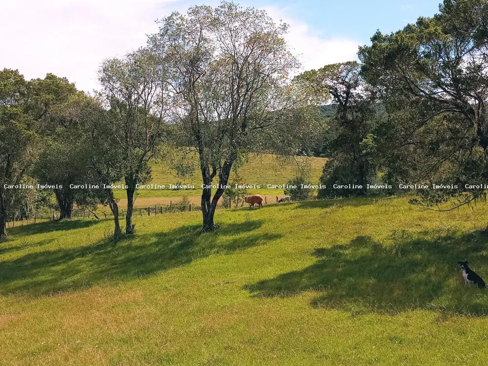 Fazenda, 63 hectares - Foto 8