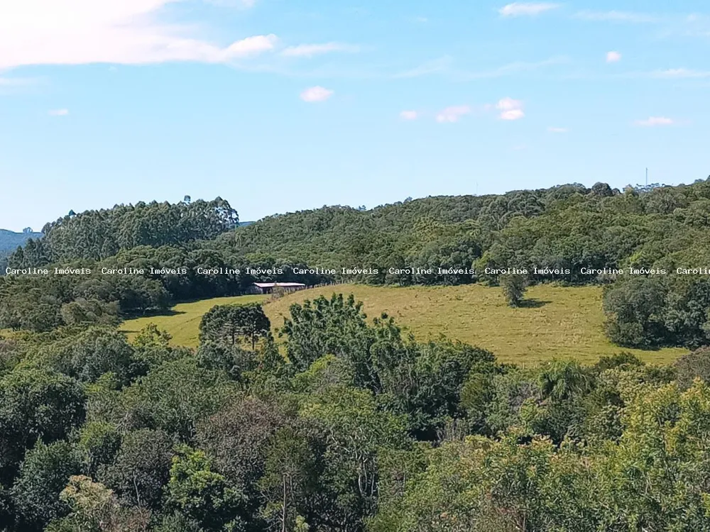 Fazenda, 63 hectares - Foto 3