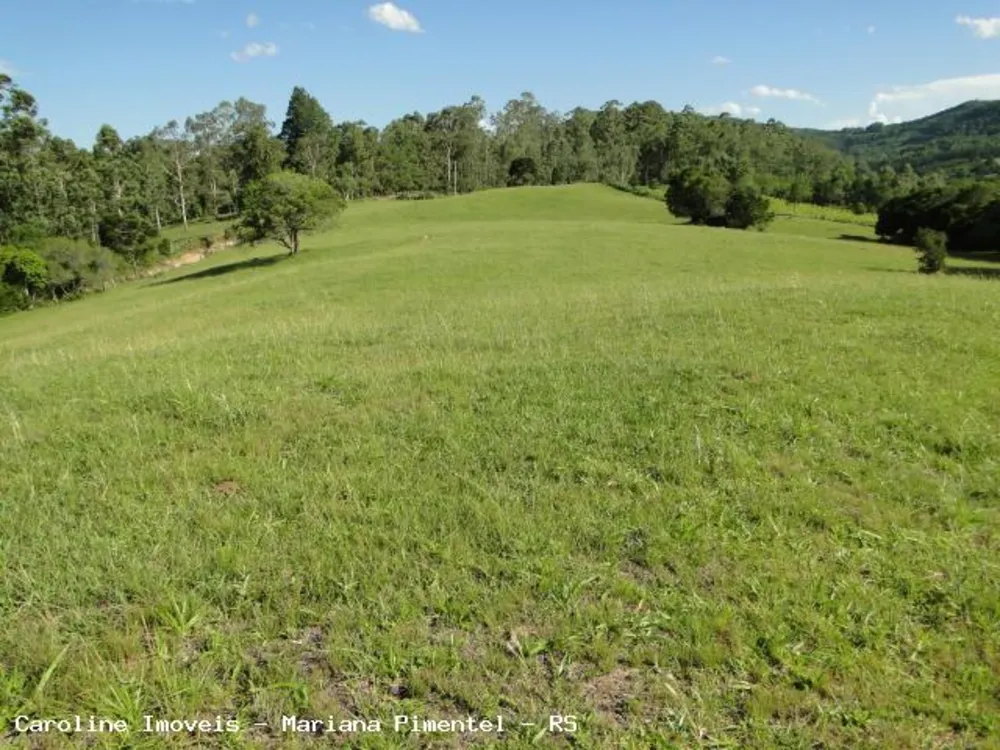 Fazenda, 63 hectares - Foto 7