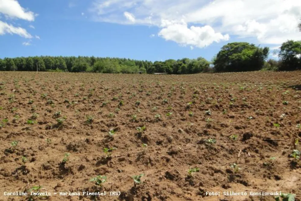 Loteamento e Condomínio, 4 hectares - Foto 7