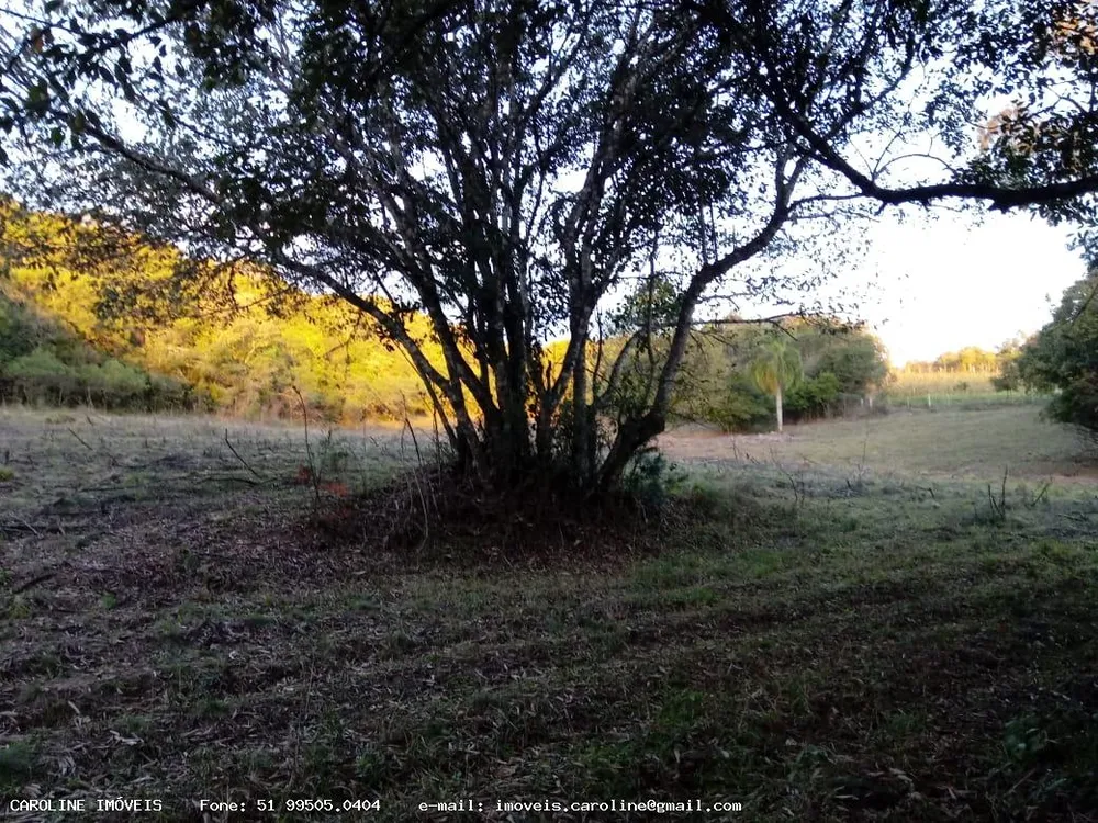 Loteamento e Condomínio, 4 hectares - Foto 2
