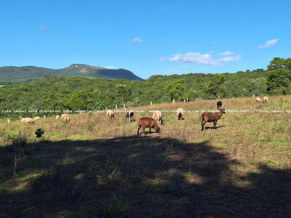 Loteamento e Condomínio, 3 hectares - Foto 8