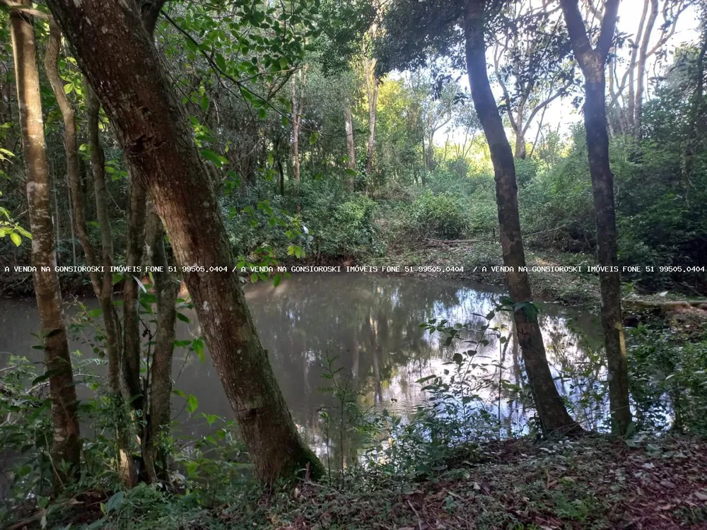 Sítio, 5 quartos, 2 hectares - Foto 8