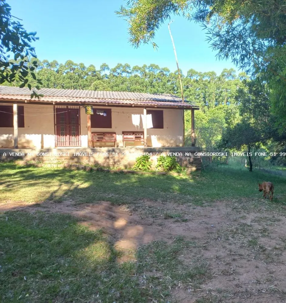 Sítio, 5 quartos, 2 hectares - Foto 2