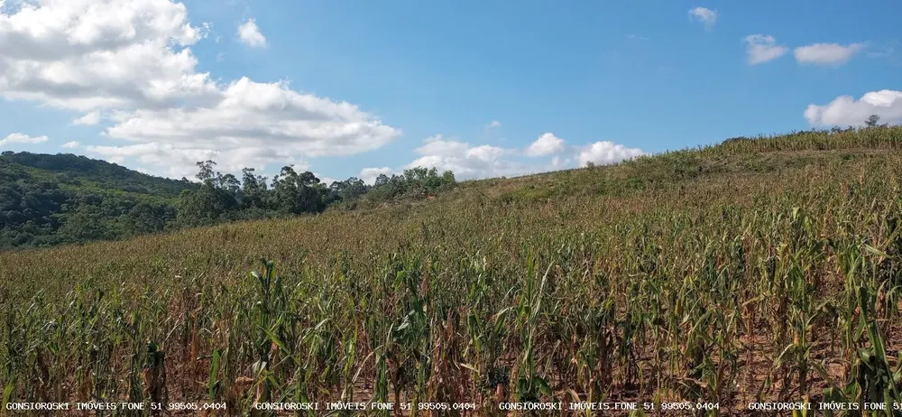 Loteamento e Condomínio, 37 hectares - Foto 2