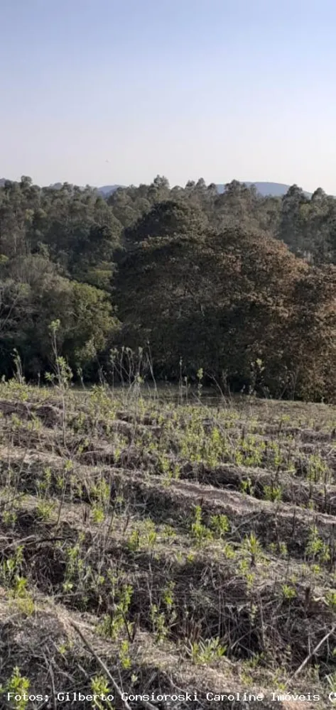 Loteamento e Condomínio, 5 hectares - Foto 6