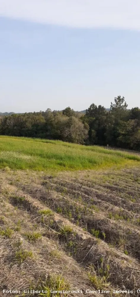 Loteamento e Condomínio, 5 hectares - Foto 8