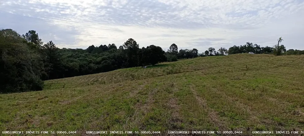 Loteamento e Condomínio, 5 hectares - Foto 4