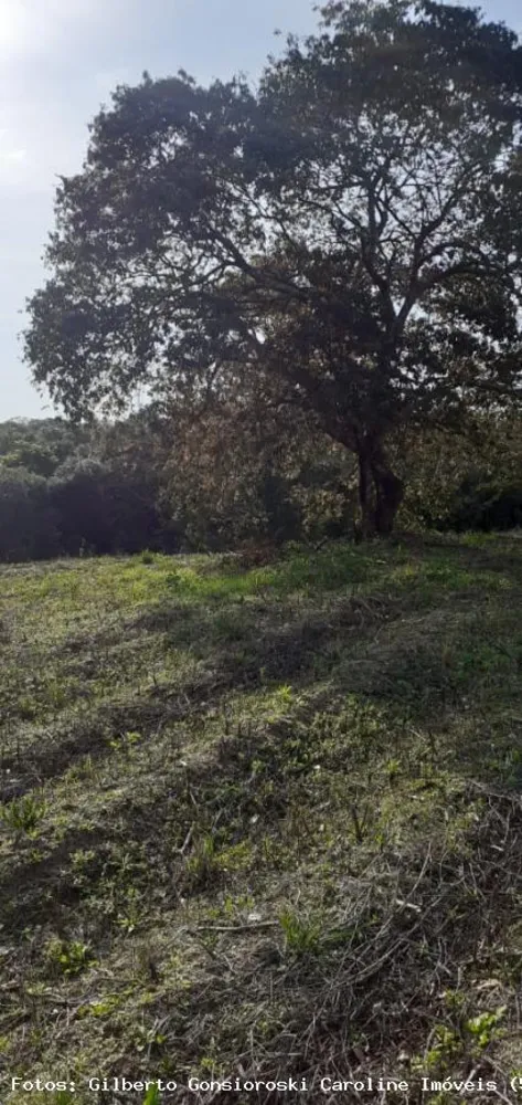 Loteamento e Condomínio, 5 hectares - Foto 9