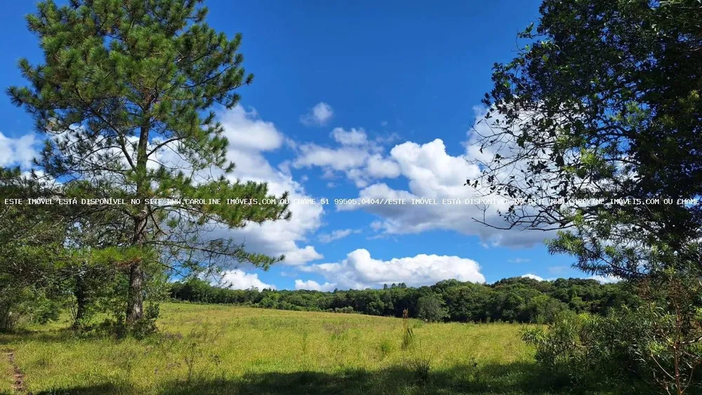 Loteamento e Condomínio, 38 hectares - Foto 8