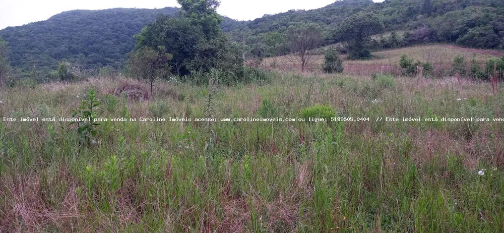 Loteamento e Condomínio, 5000 m² - Foto 4