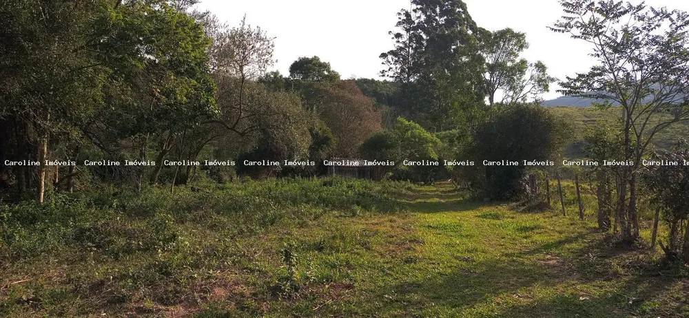 Loteamento e Condomínio, 6000 m² - Foto 3