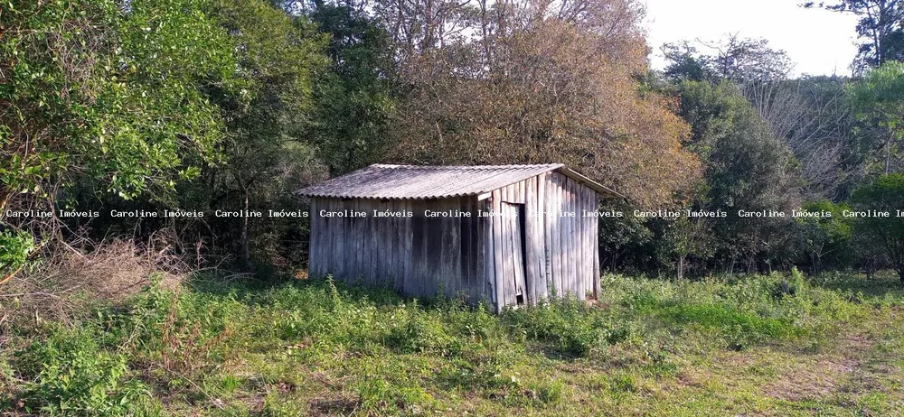 Loteamento e Condomínio, 6000 m² - Foto 5