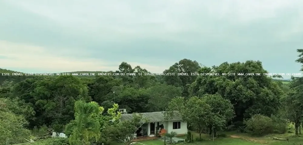 Fazenda, 63 hectares - Foto 2
