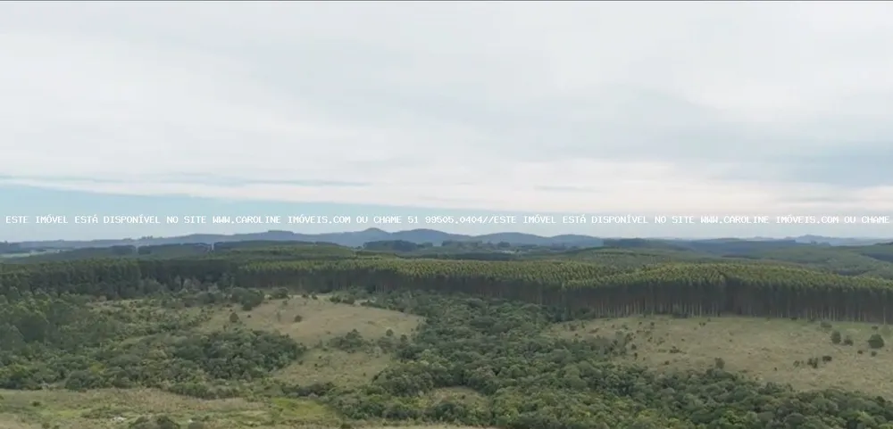 Fazenda, 63 hectares - Foto 9