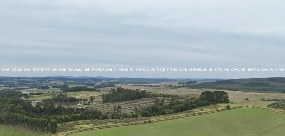 Fazenda, 63 hectares - Foto 6