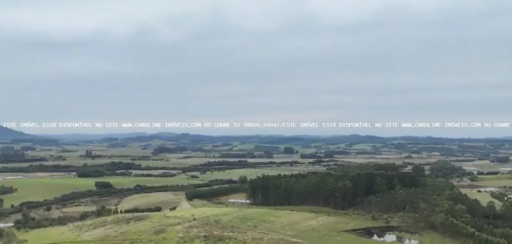Fazenda, 63 hectares - Foto 7
