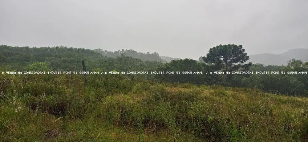 Chácara, 3 quartos, 7 hectares - Foto 4
