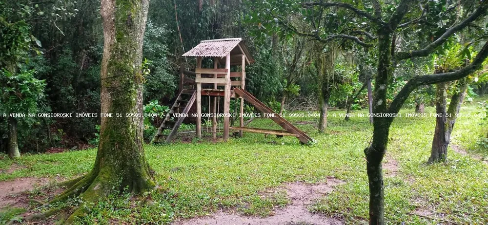 Chácara, 3 quartos, 7 hectares - Foto 7