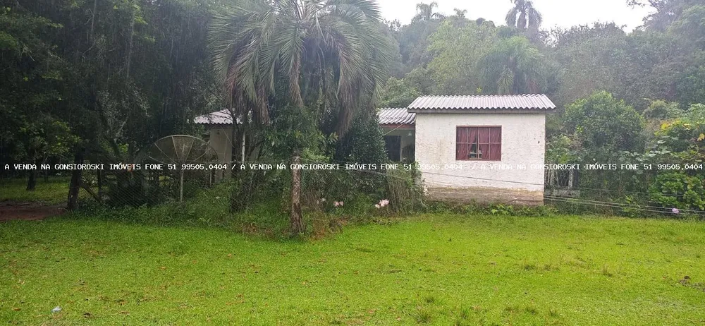Chácara, 3 quartos, 7 hectares - Foto 2