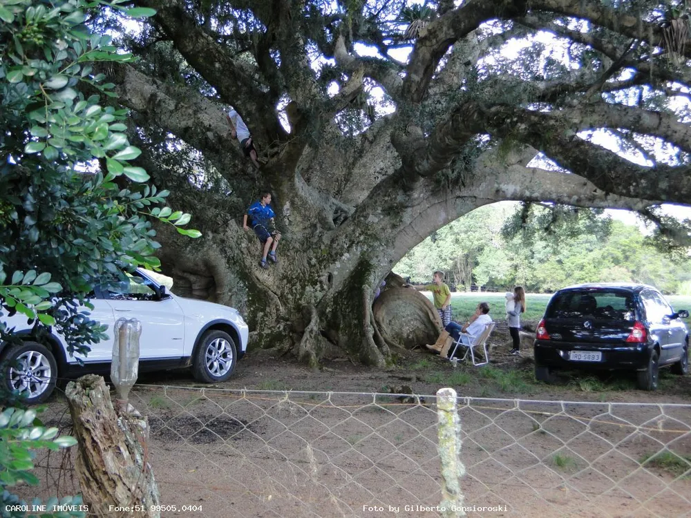 Chácara, 16 hectares - Foto 1