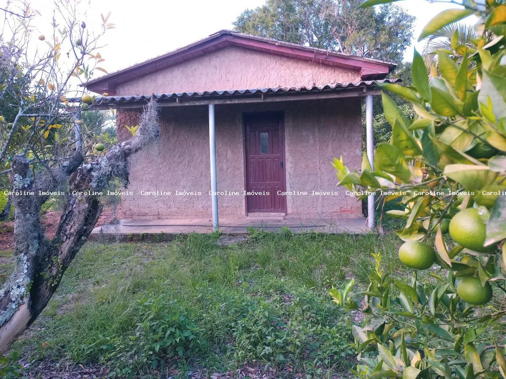 Sítio, 16 hectares - Foto 4