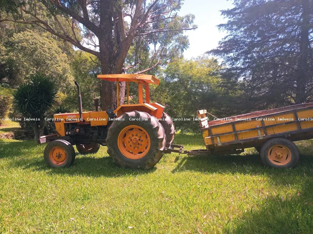 Fazenda, 80 hectares - Foto 4