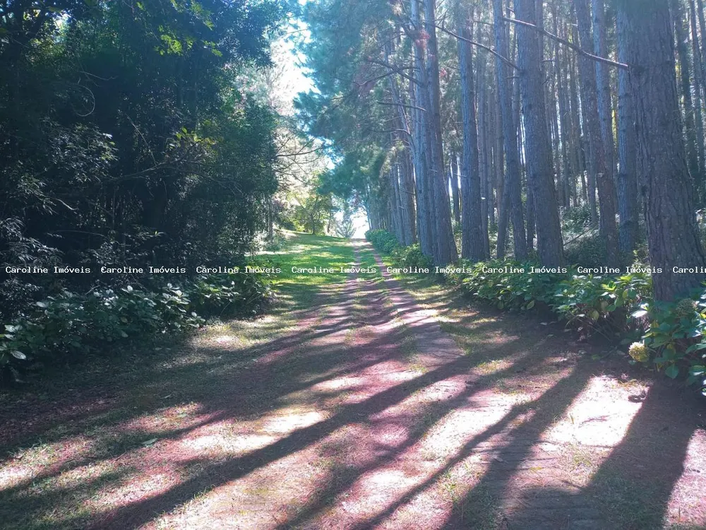 Sítio, 7 quartos, 80 hectares - Foto 1