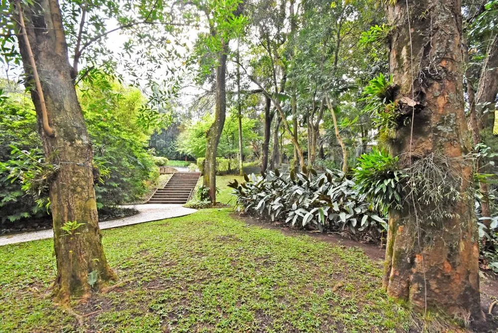 Casa, 5 quartos, 976 m² - Foto 8