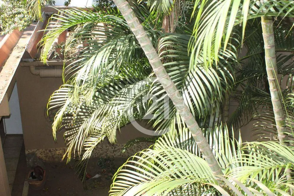 Casa, 5 quartos, 350 m² - Foto 2