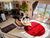 Apartamento, 2 quartos, 138 m² - Foto 6