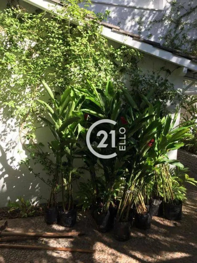 Casa, 3 quartos, 250 m² - Foto 7