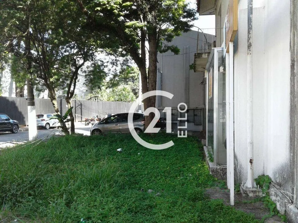 Casa, 5 quartos, 895 m² - Foto 6