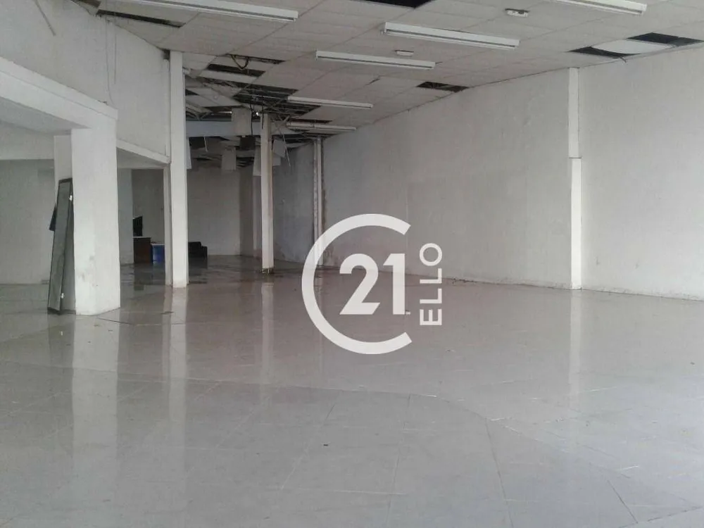 Casa, 5 quartos, 895 m² - Foto 10